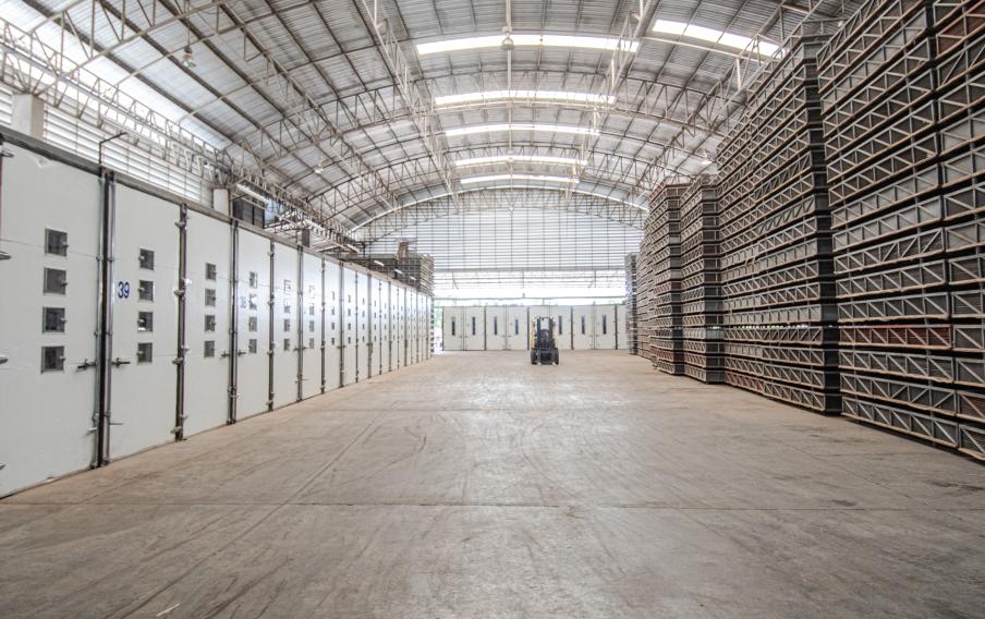 longan processing factory